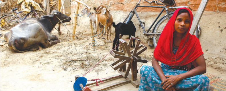 Brief on the social cost of migration